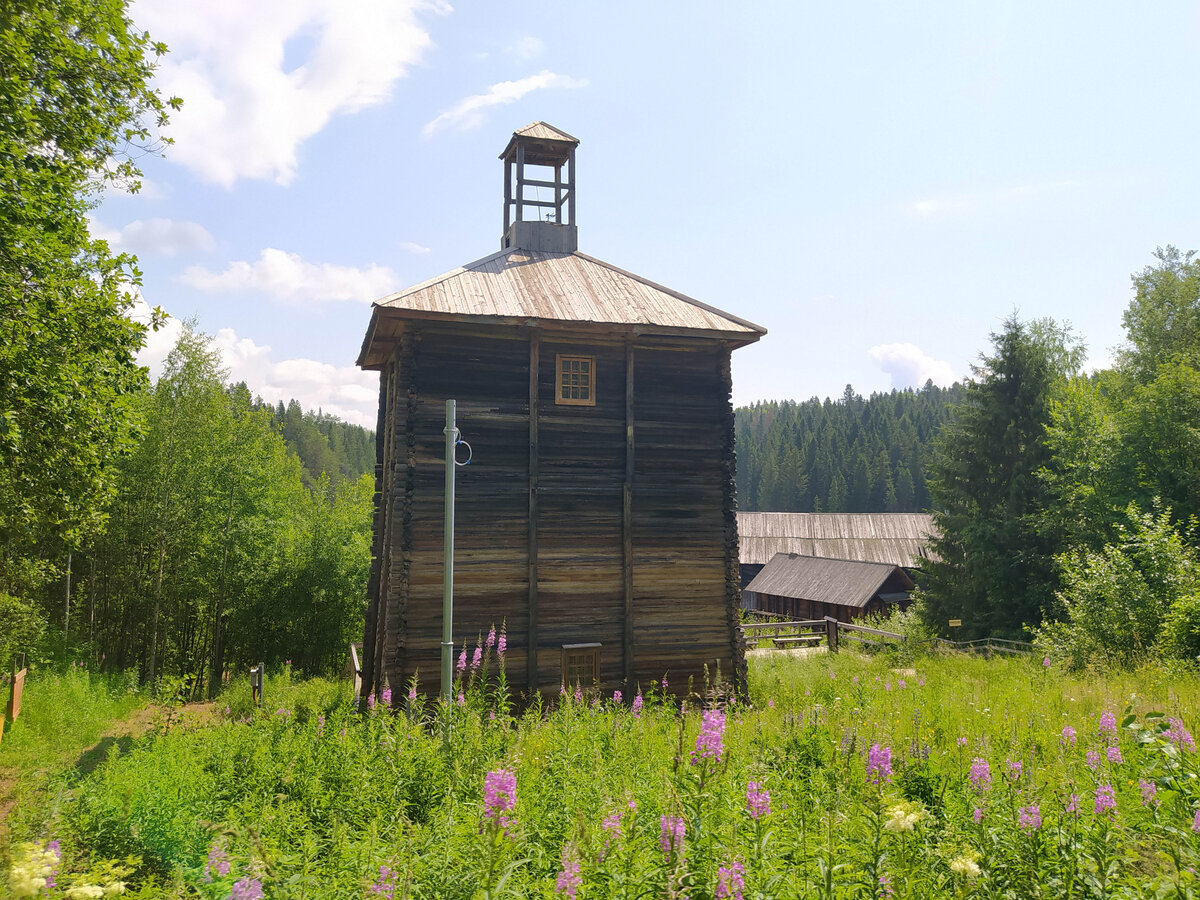 Пермяк соленые уши рисунок