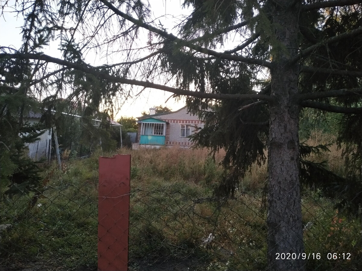 Фото сделано, когда дедушка Саша ещё был жив, но больше не увидевший свой дом.