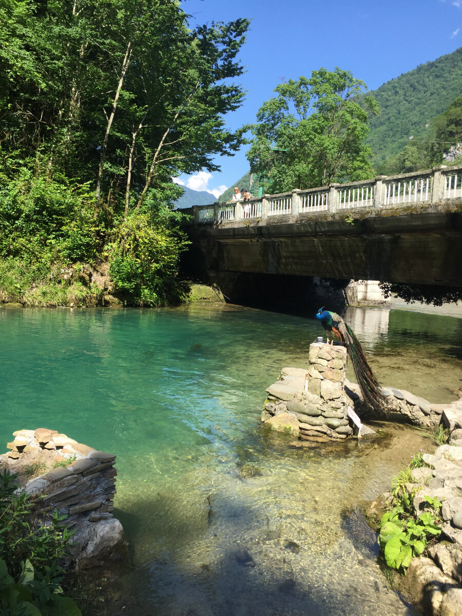 Голубое озеро, Абхазия. Фото в статье все авторские 