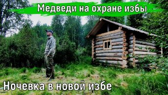 Строительство таёжной избы.Нанял охрану 3-х медведей.Умный в гору не пойдёт,а я пойду.