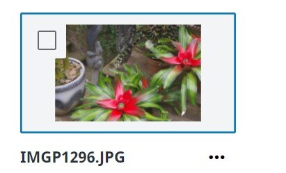 скриншот автора 