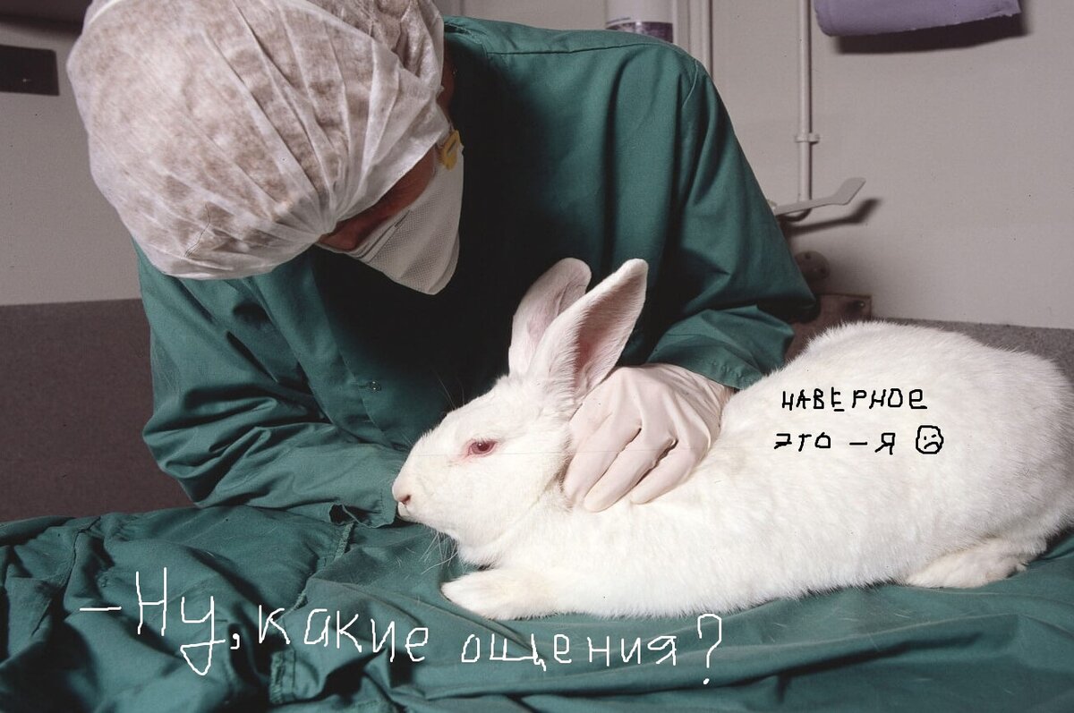 Как в зеркало....(((((