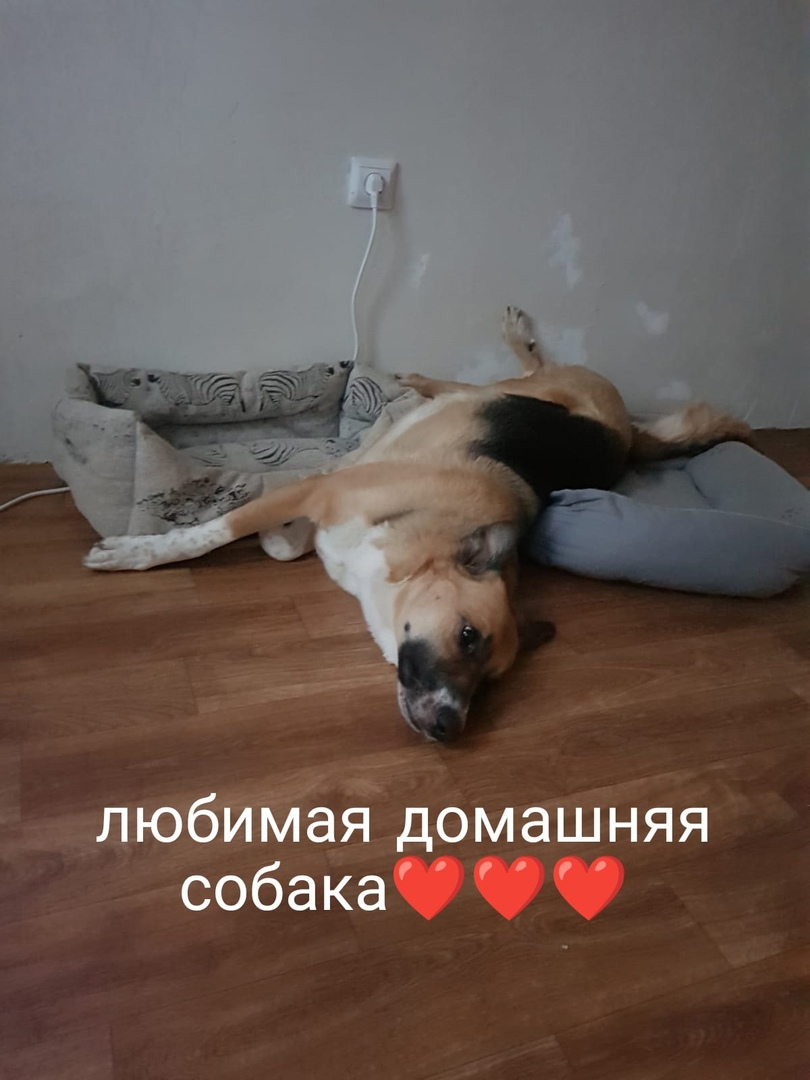 Это сладкое слово-ДОМ!!!!
