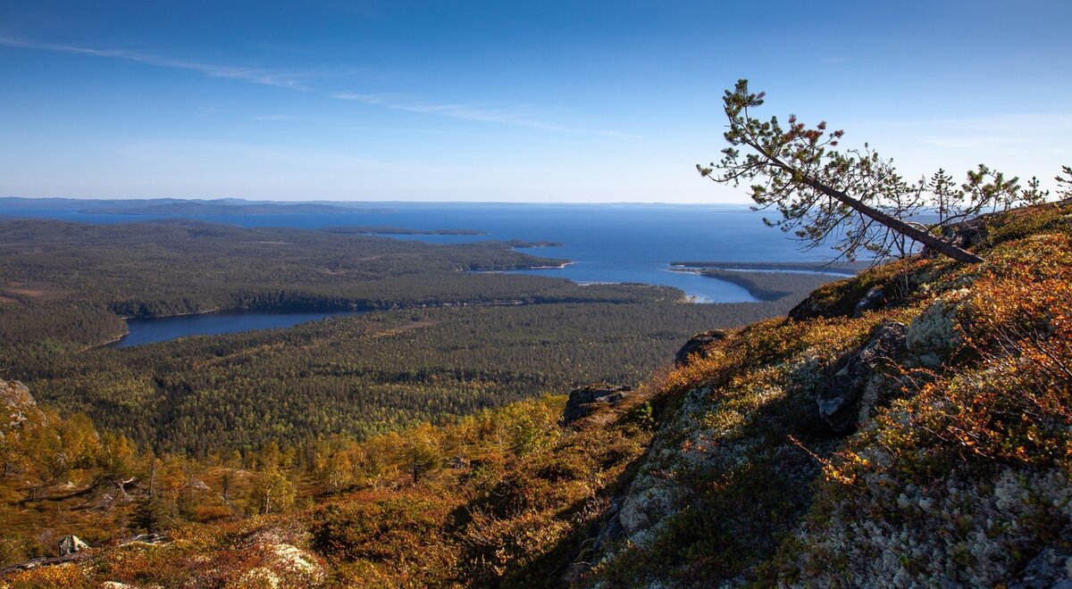 (Фото: Наталья Павлова)