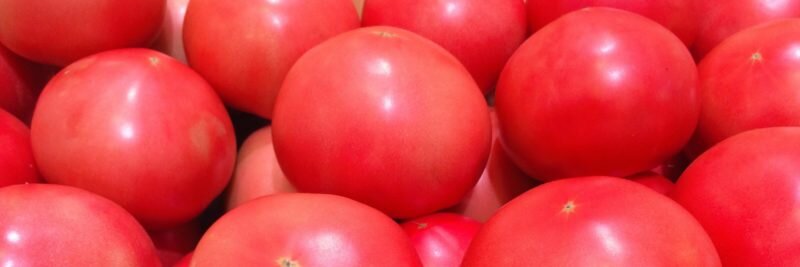 Томаты