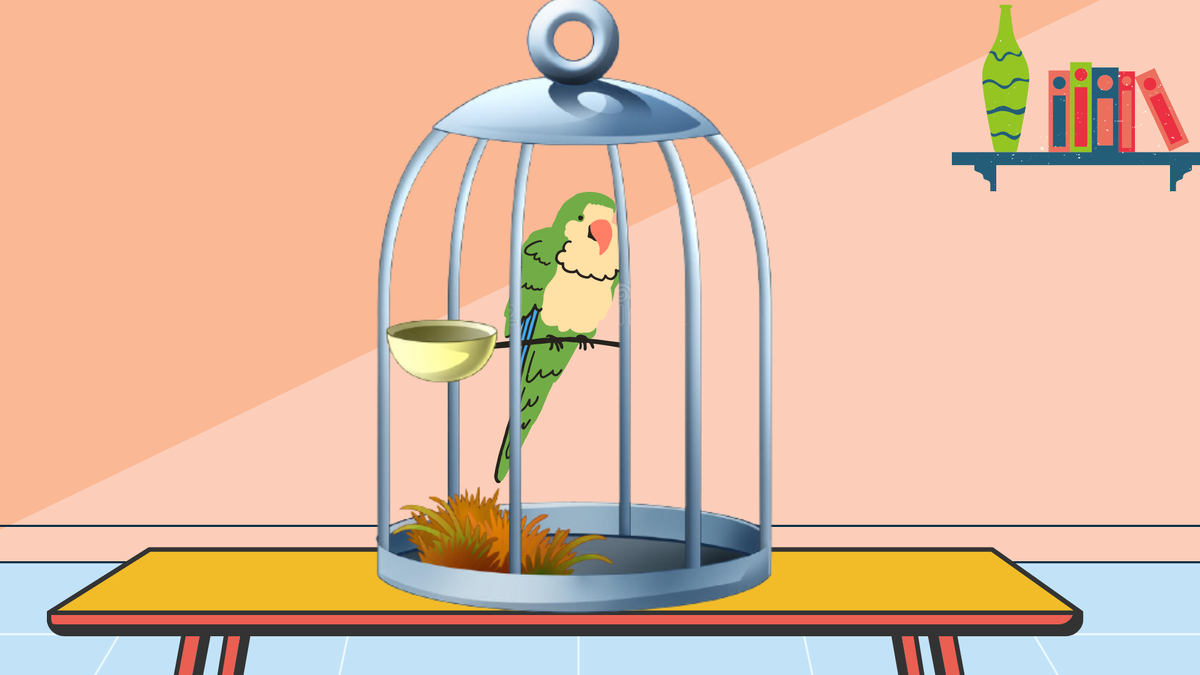 Картинка автора