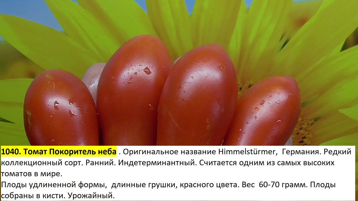 -185