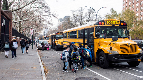 Из цитируемого источника