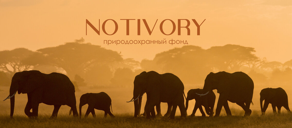 Notivory.
