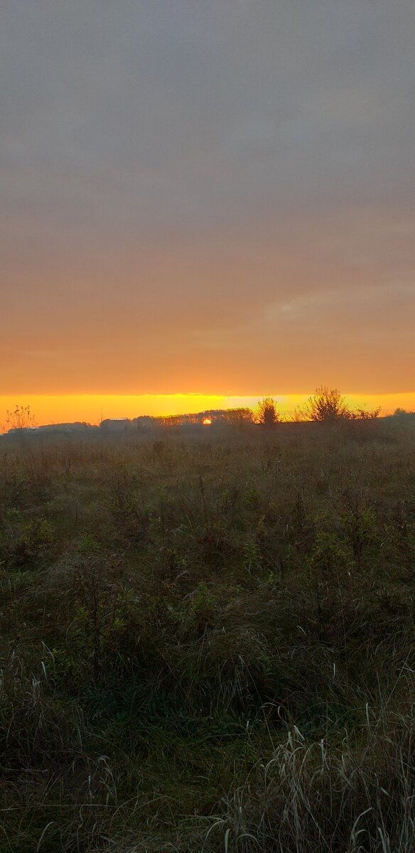 Солнышко всходит.Тихо,даже птицы молчат..