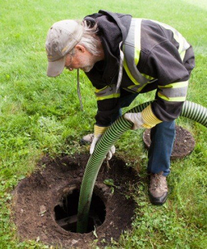 фото из открытого источника