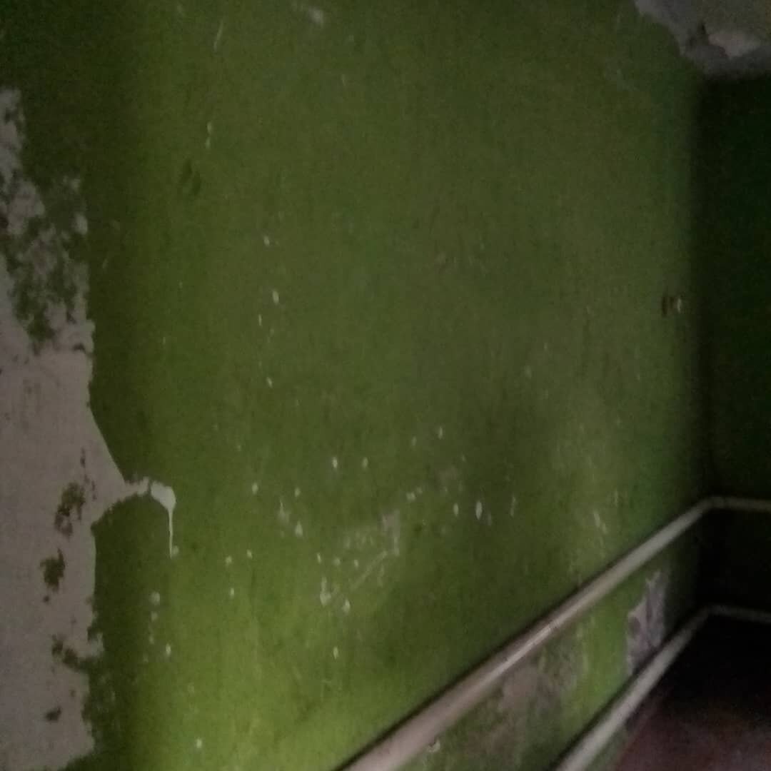 От этой зелени надо срочно избавляться!!!