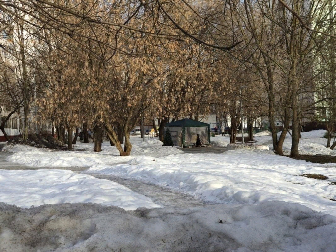 Исключенное из реновации место застройки в районе Бибирево. Источник: "СВАО. Today"