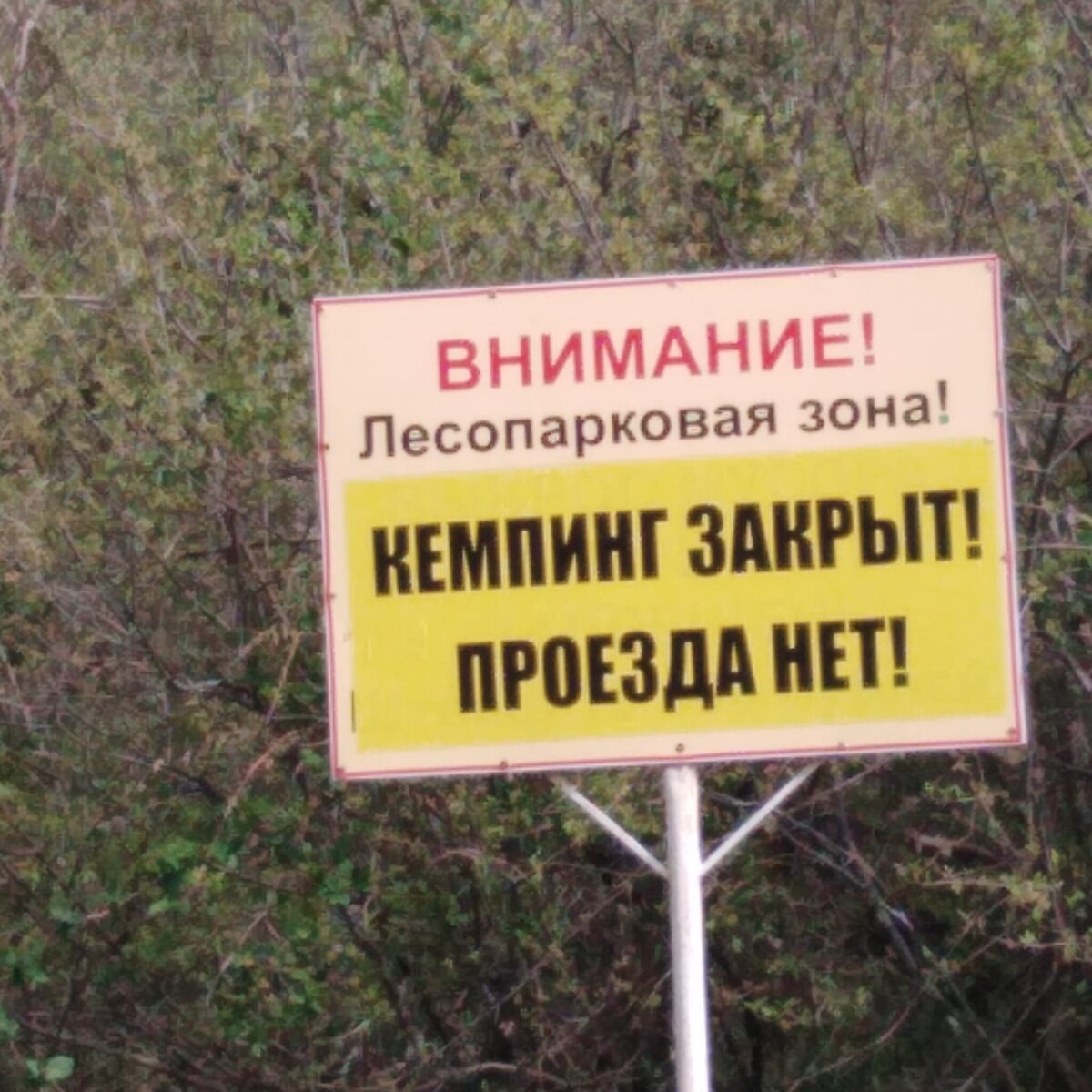 Без комментариев