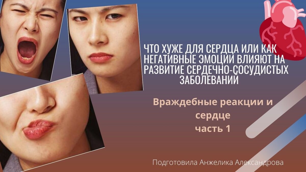 Таким образом выделяется. Враждебная реакция. Развитие реакции. Классификация агрессивности. Враждебная реакция.