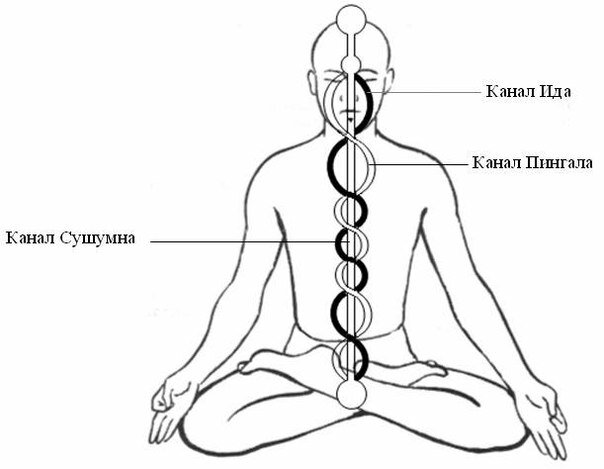Энергетические каналы в йоге