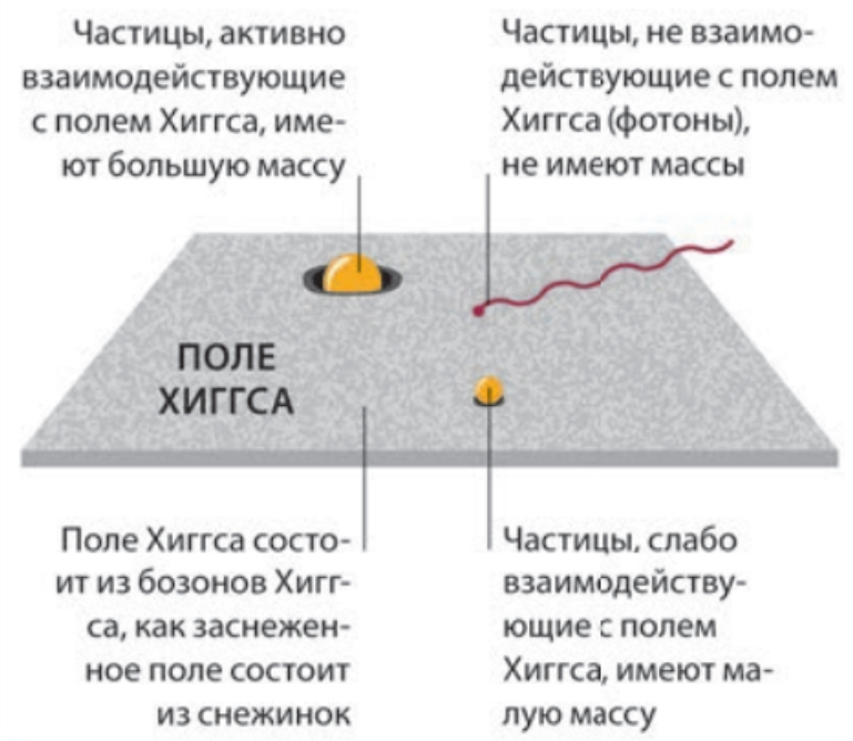 1.1. Двойственность сил инерции в современной физике