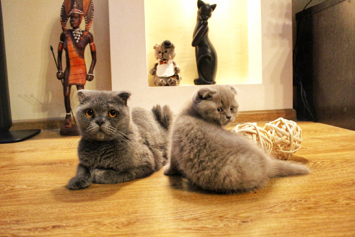 Бусинка с Ириской