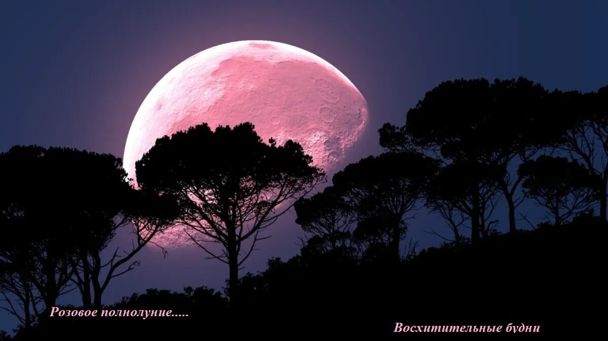 Из личного архива автора канала