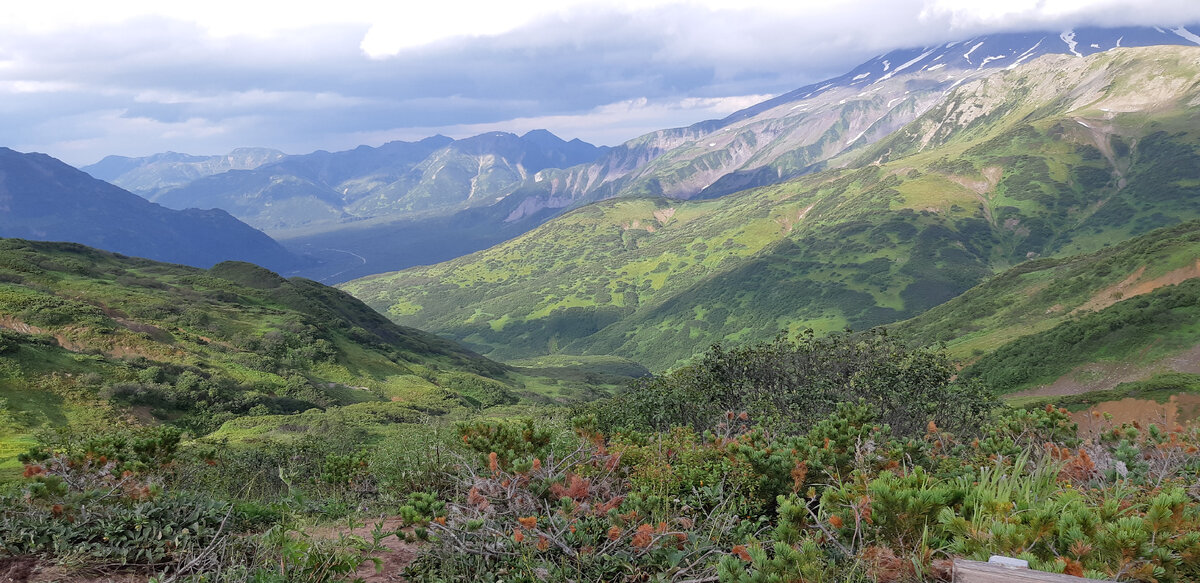 Камчатка, Мутновская долина