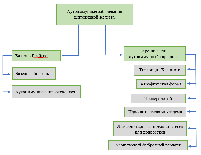 Аутоиммунный тиреоидит - симптомы и лечение