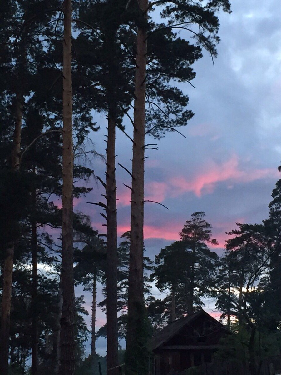 Закат. Вид с участка. 