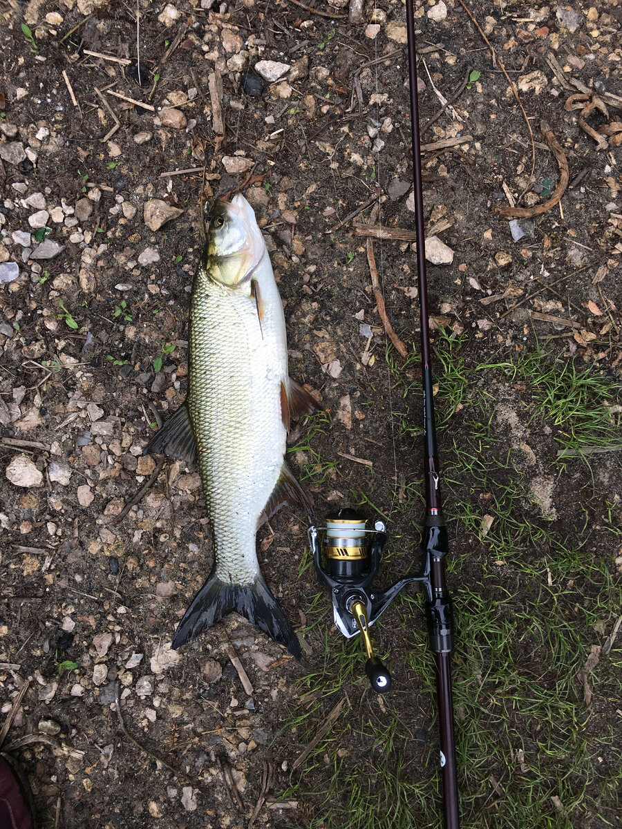 Перекат. Тейл-спинер 4 грамма.