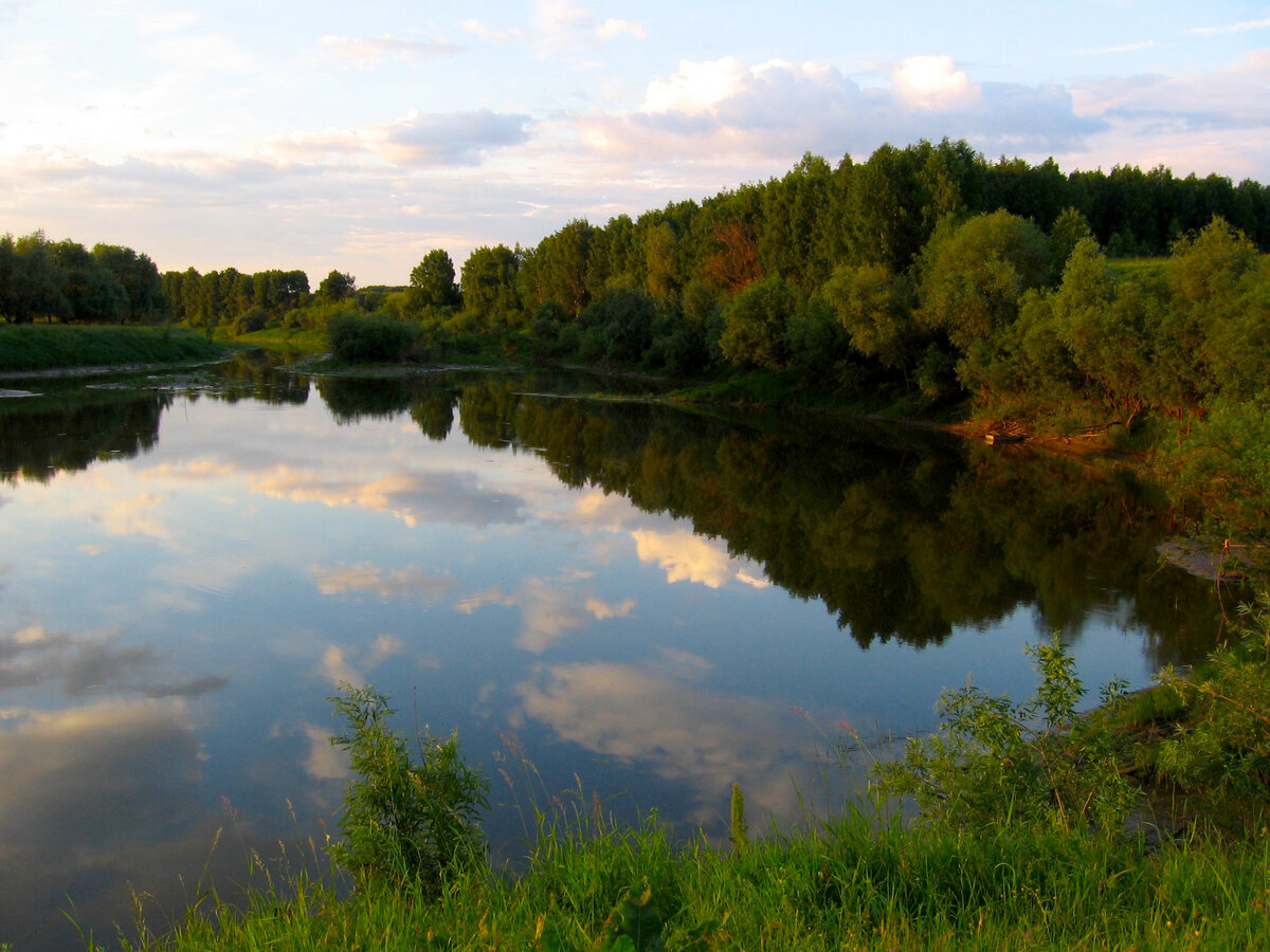 Рыбалка дулово тихая. Заводь фото.