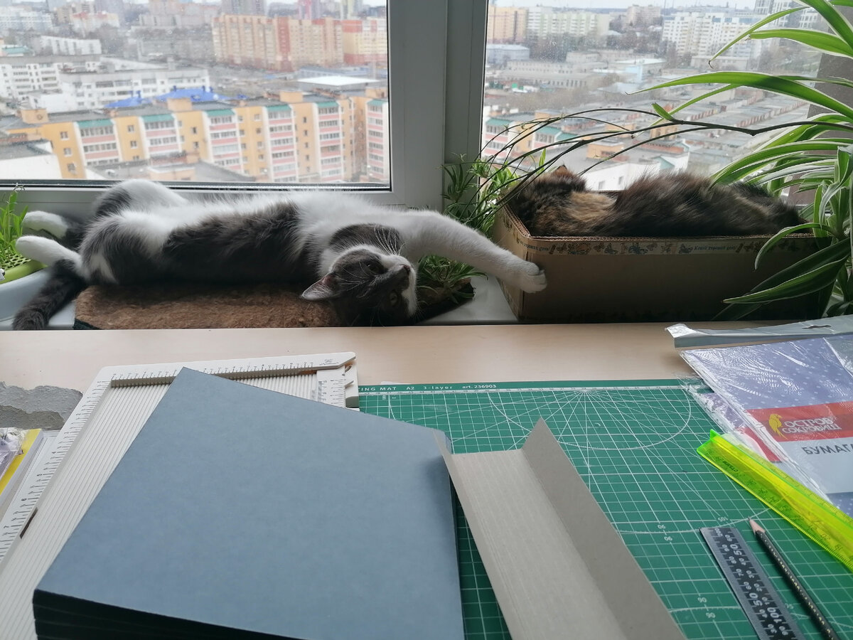 Итак , помощницы на позиции, контролируют создание каркаса конструкции. Это серый картон 240 г/м2 "Балет".