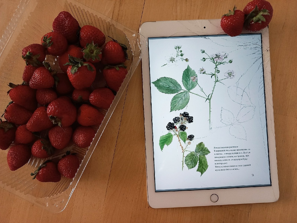 Читала книгу и ела ягоды. Тут иначе не получится, уж очень вкусно) 