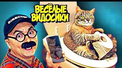 ВЕСЕЛЫЕ ВИДОСИКИ! 5 МИНУТ СМЕХА (ИЛИ НЕТ) 3 ВЫПУСК