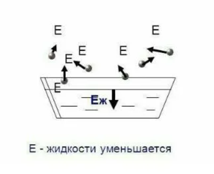 Почему выступающий в жару на теле пот охлаждает тело?