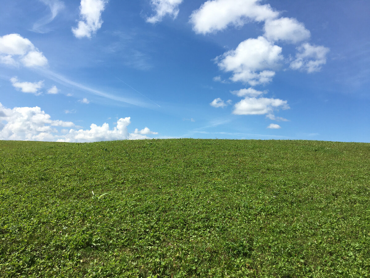 Наш местный Windows )))