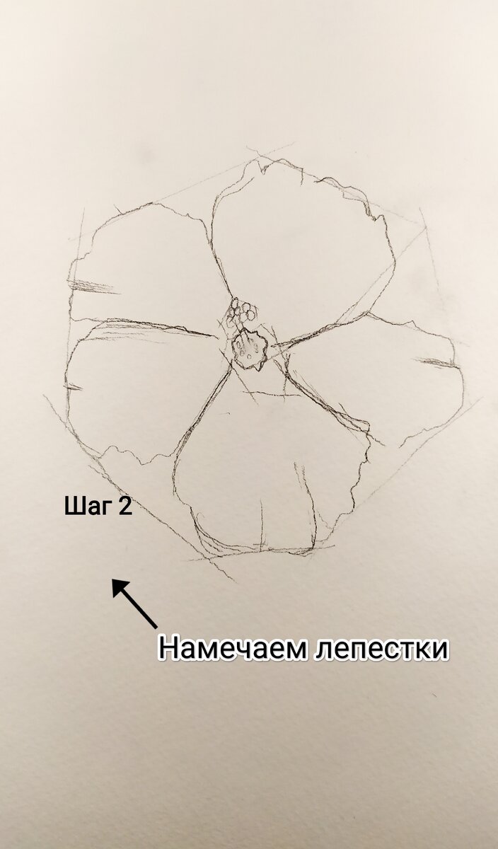 Намечаем лепестки