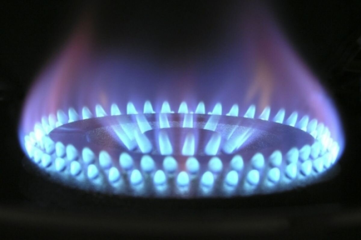    В ЕС хотят сократить норму потребления газа при прекращении поставок из РФ