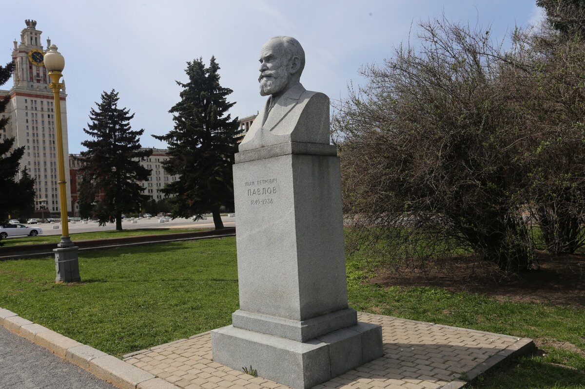 Памятники ученых. Памятники Павлову Ивану Петровичу. Памятник Павлову в Рязани. Памятник Павлову Калининград.