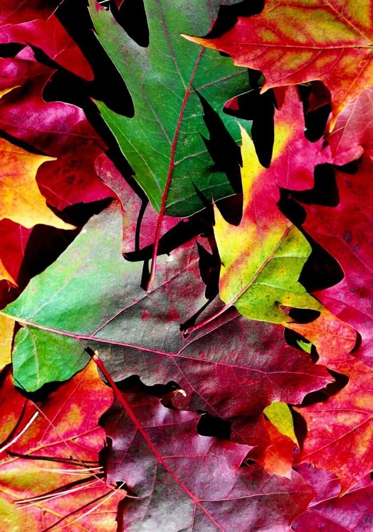 Цветовая палитра пигментов