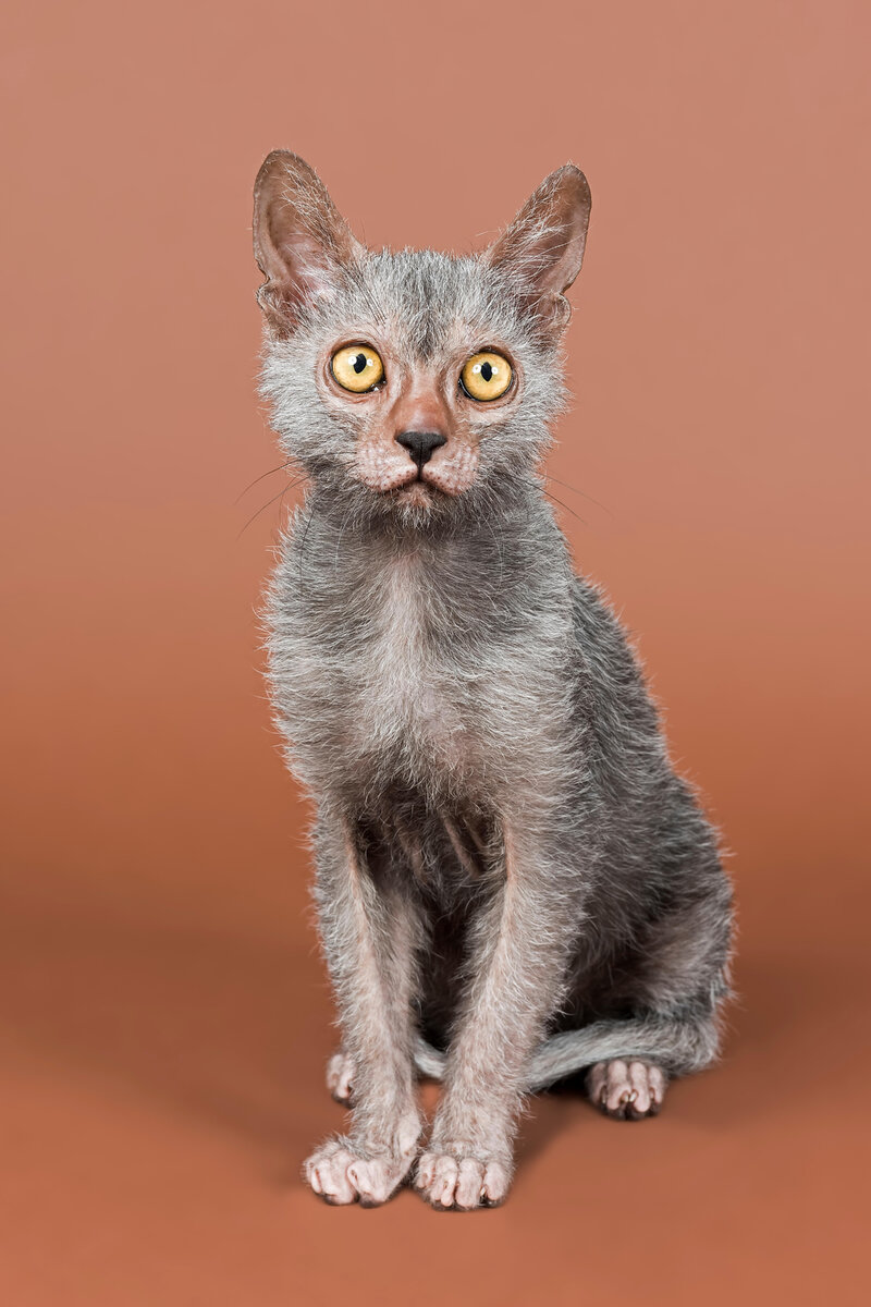   Фото: Legion-Media