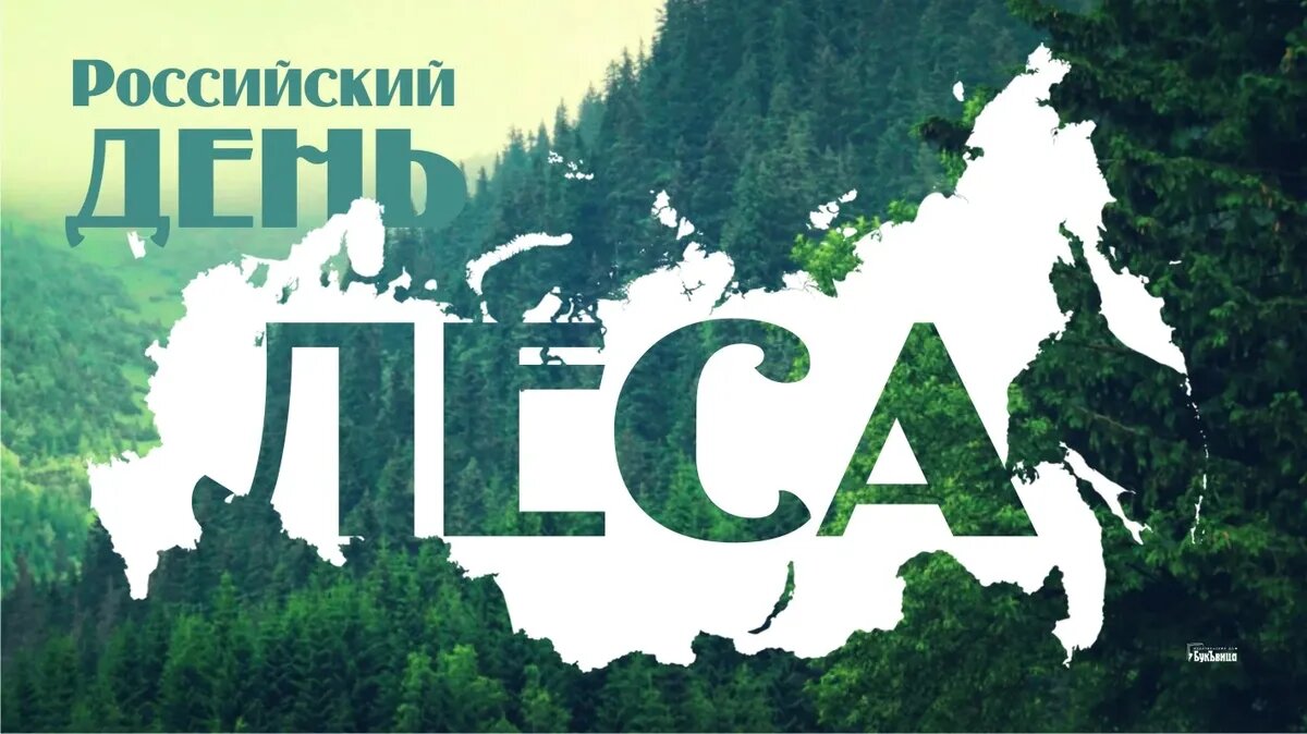 Российский день леса. Иллюстрация: «Курьер.Среда»