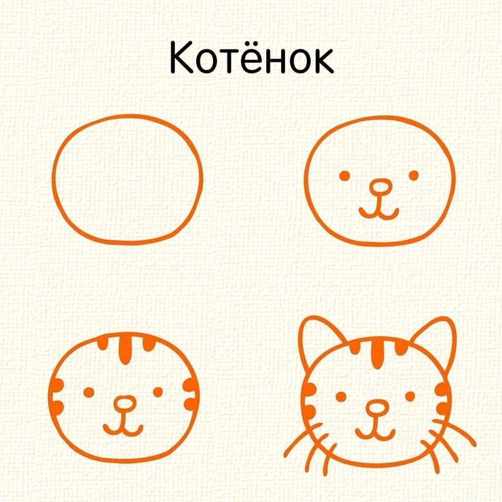 Нарисовать котенка мордочку