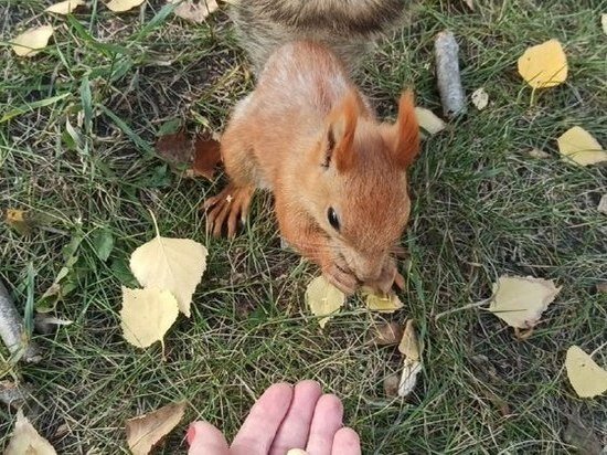     Фото: Валерия Ким / "МК в Омске"