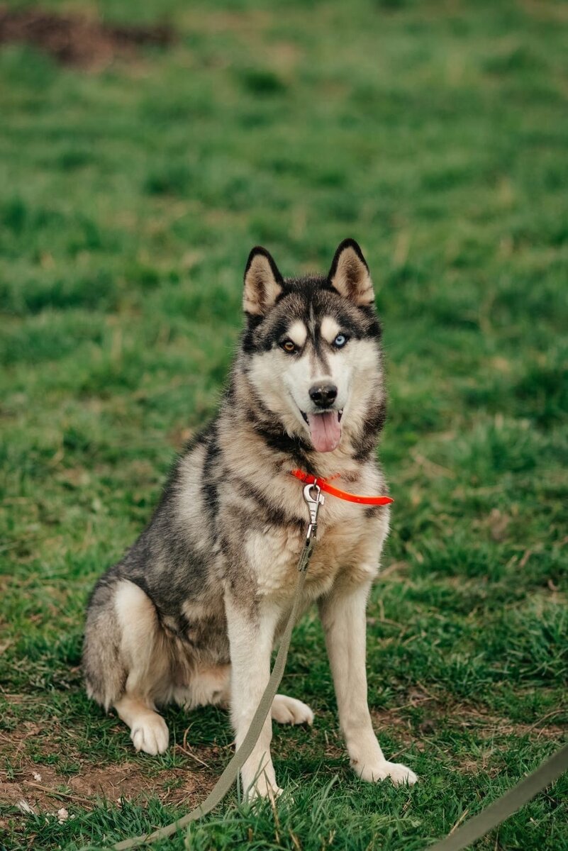 Можно листать