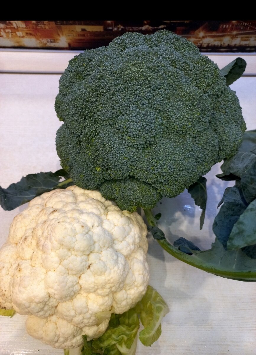 Цветная капуста и броколли