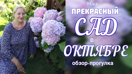 100000 подписчиков на нашем Ютуб канале Family hobby. ЦВЕТЕНИЕ сада в ...