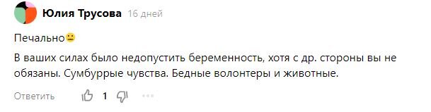 Скрин комментария
