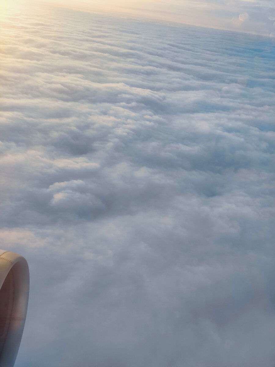 Подлетаем к Москве 