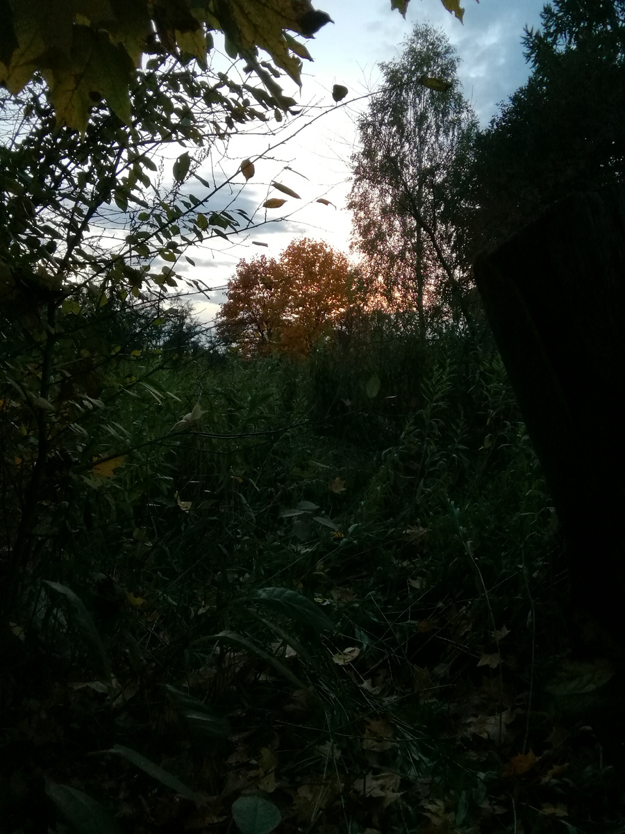 Долгинино, 02.10.2022 