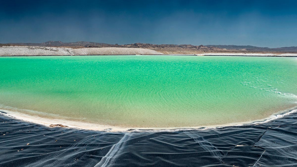 Фото: Shutterstock 