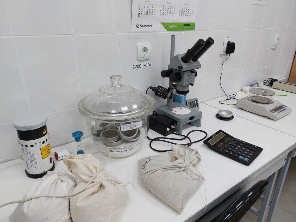     Фото: Ольга Супонева