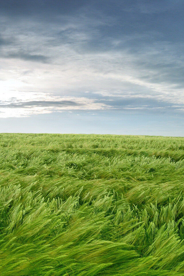 Изображение взято из открытых источников